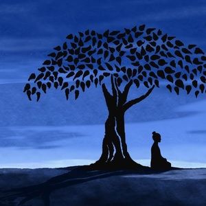 Meet your Posher, Marilyn